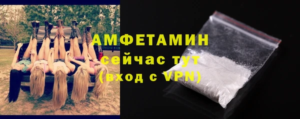 тгк Пересвет