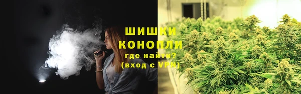 тгк Пересвет