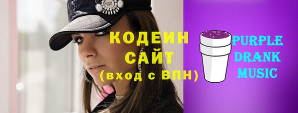 тгк Пересвет