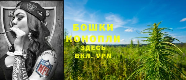 бутират Пестово