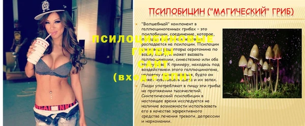 тгк Пересвет