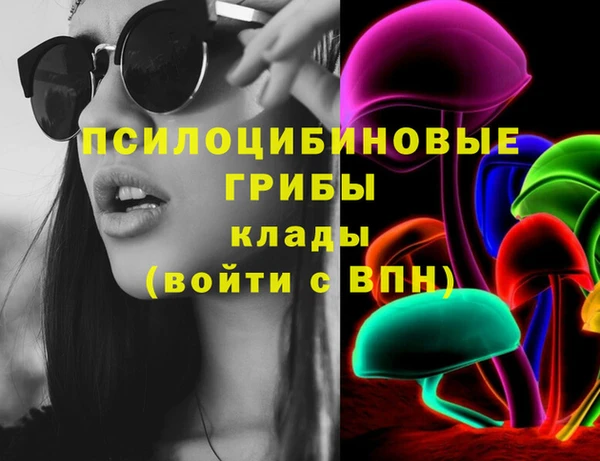 тгк Пересвет