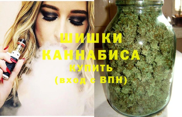 тгк Пересвет