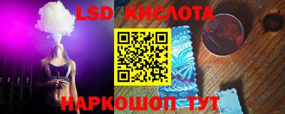 трава Партизанск