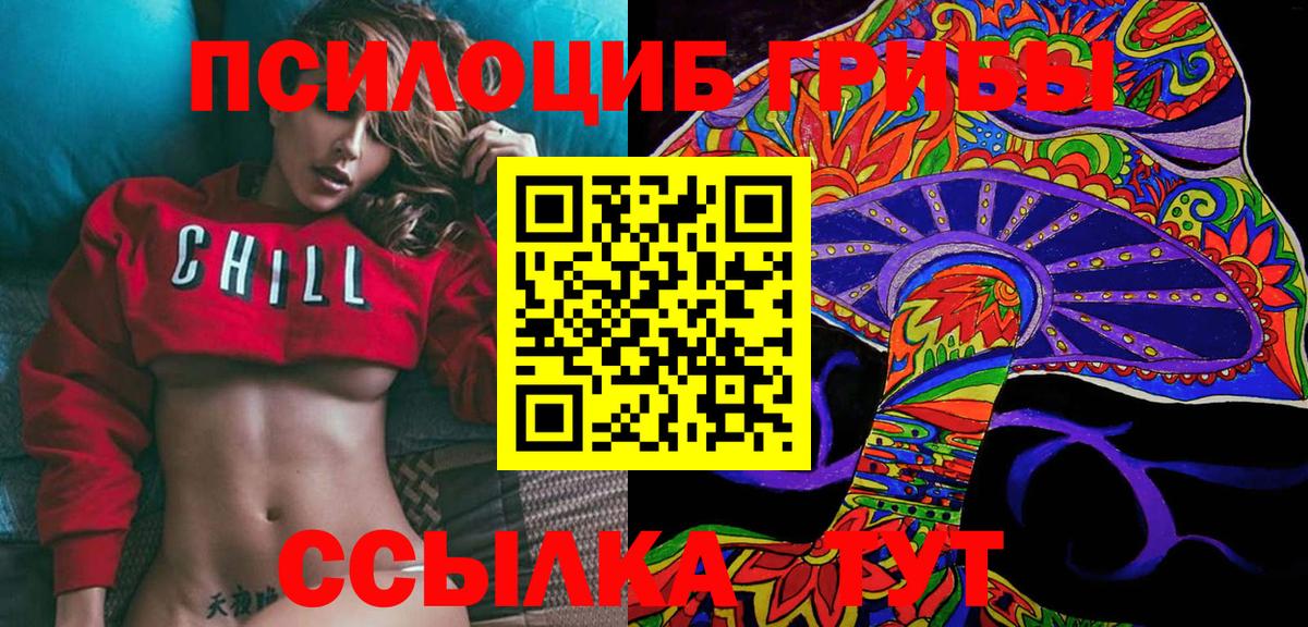 Галлюциногенные грибы Psilocybe Тулун