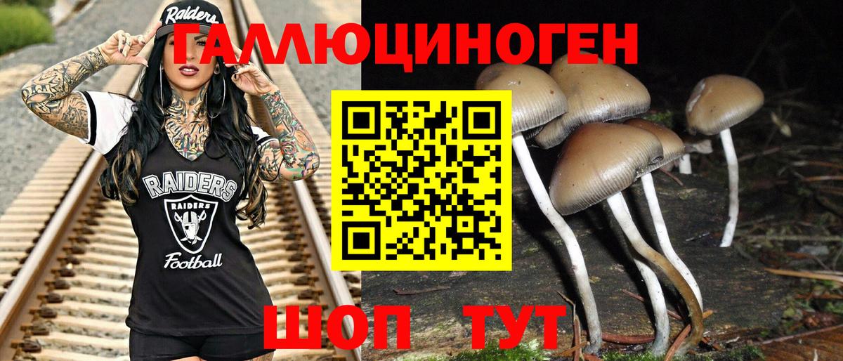Псилоцибиновые грибы GOLDEN TEACHER  Вход с VPN  Псилоцибиновые грибы Cubensis  Тулун 